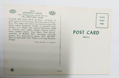 Absaroka Lodge and Cabins Yellowstone Park Wyoming 1960's Postcard - TulipStuff