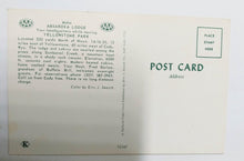 Load image into Gallery viewer, Absaroka Lodge and Cabins Yellowstone Park Wyoming 1960's Postcard - TulipStuff