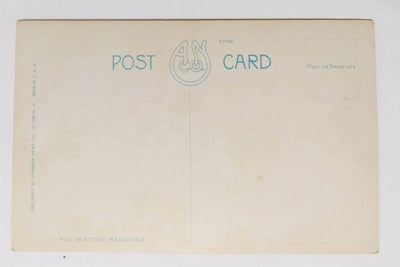 Ames Farm Inn Resort Lake Winnepesaukee New Hampshire Postcard 1920's - TulipStuff
