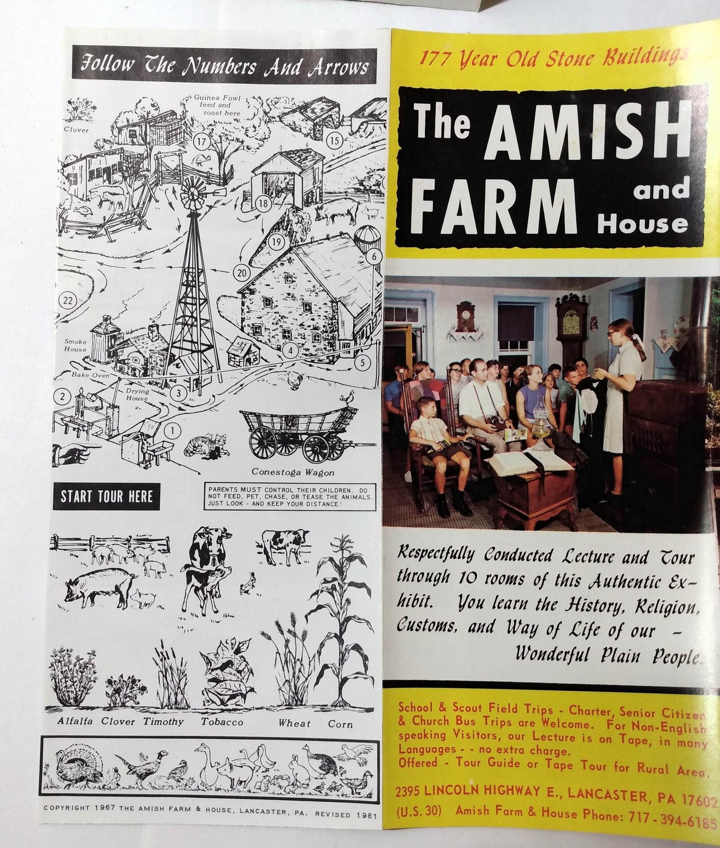 The Amish Farm And House Lancaster Pennsylvania Travel Brochure 1981 - TulipStuff