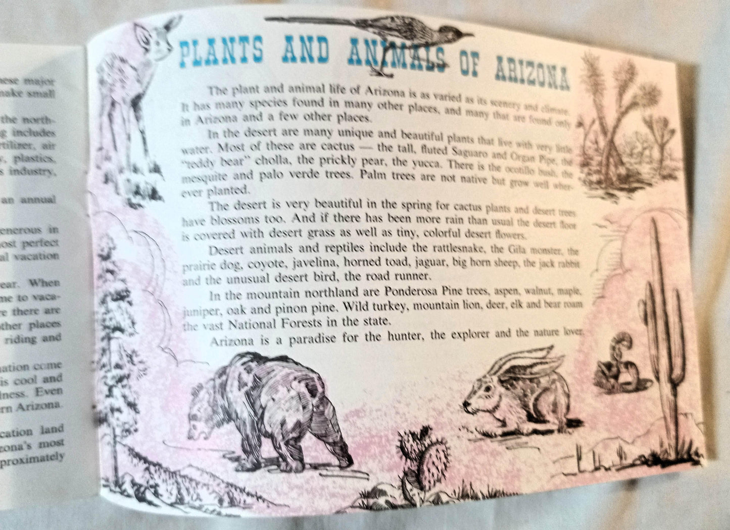 Arizona Land Of Adventure For Young Americans Booklet 1965 - TulipStuff