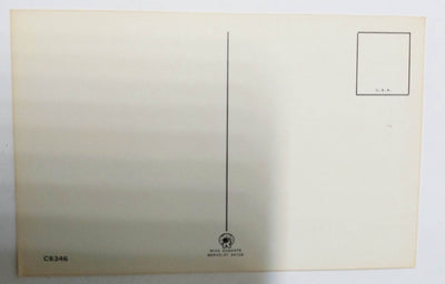 Back-Seat Driver's License Humor Novelty Postcard 1970's - TulipStuff