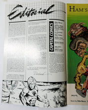 Load image into Gallery viewer, The Badger Issue #2 Capital Comics 1983 Norbert Sykes - TulipStuff