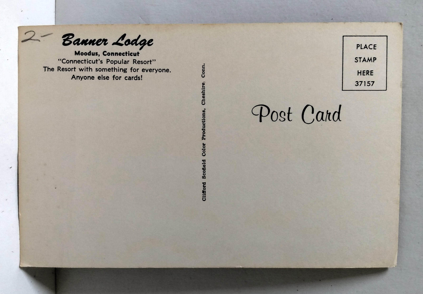 Banner Lodge Pool Moodus East Haddam Connecticut Postcard 1950's - TulipStuff