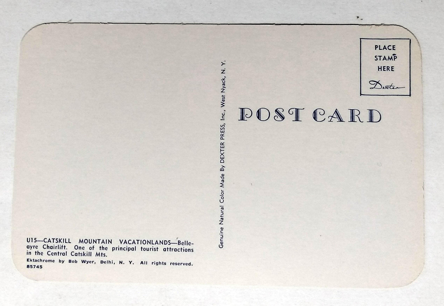 Bellayre Chairlift Ski Resort Catskill Mountains New York 1950's Postcard - TulipStuff