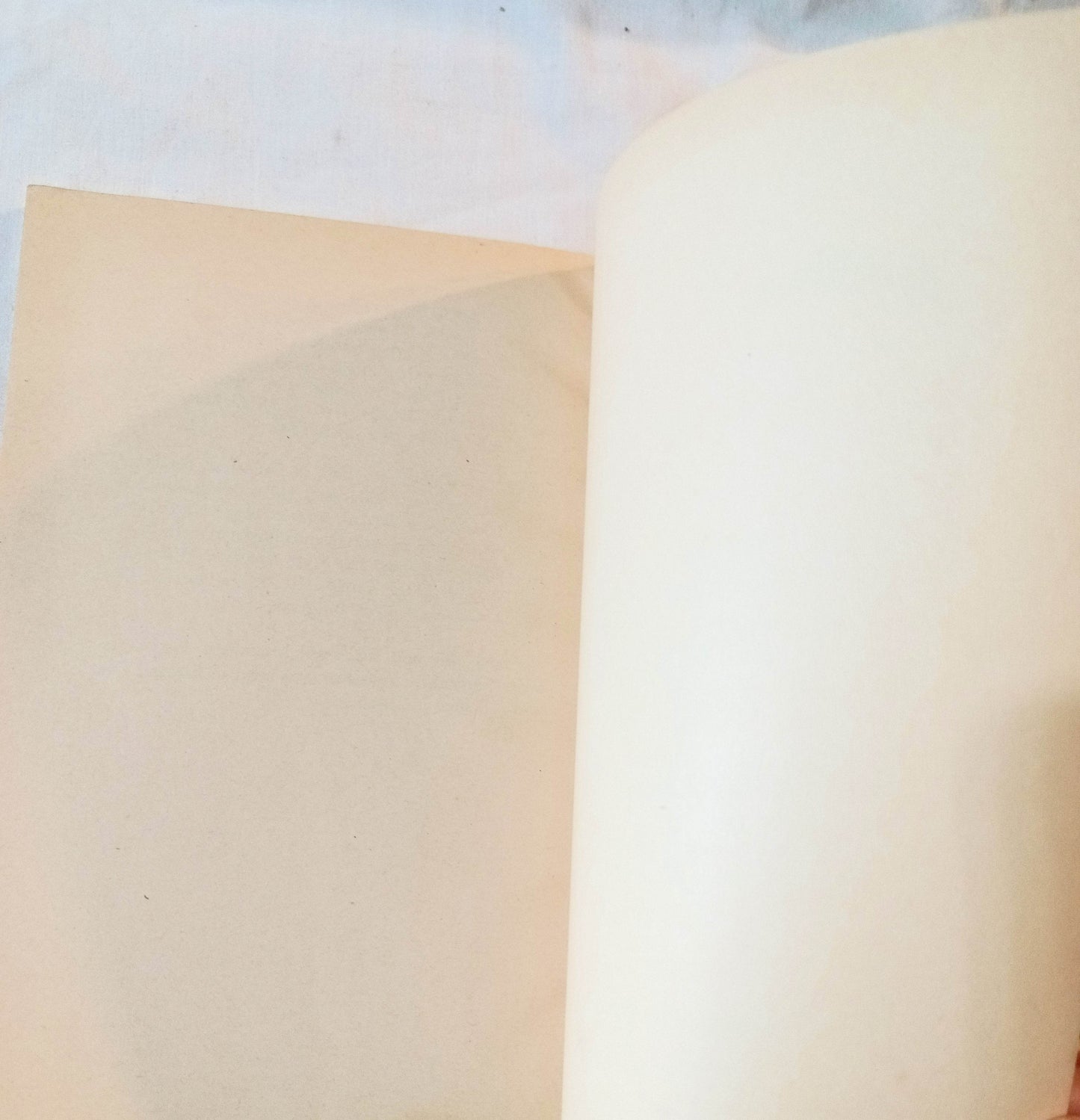 The Big Joke Game Scott Corbett Paperback First Printing 1973 - TulipStuff