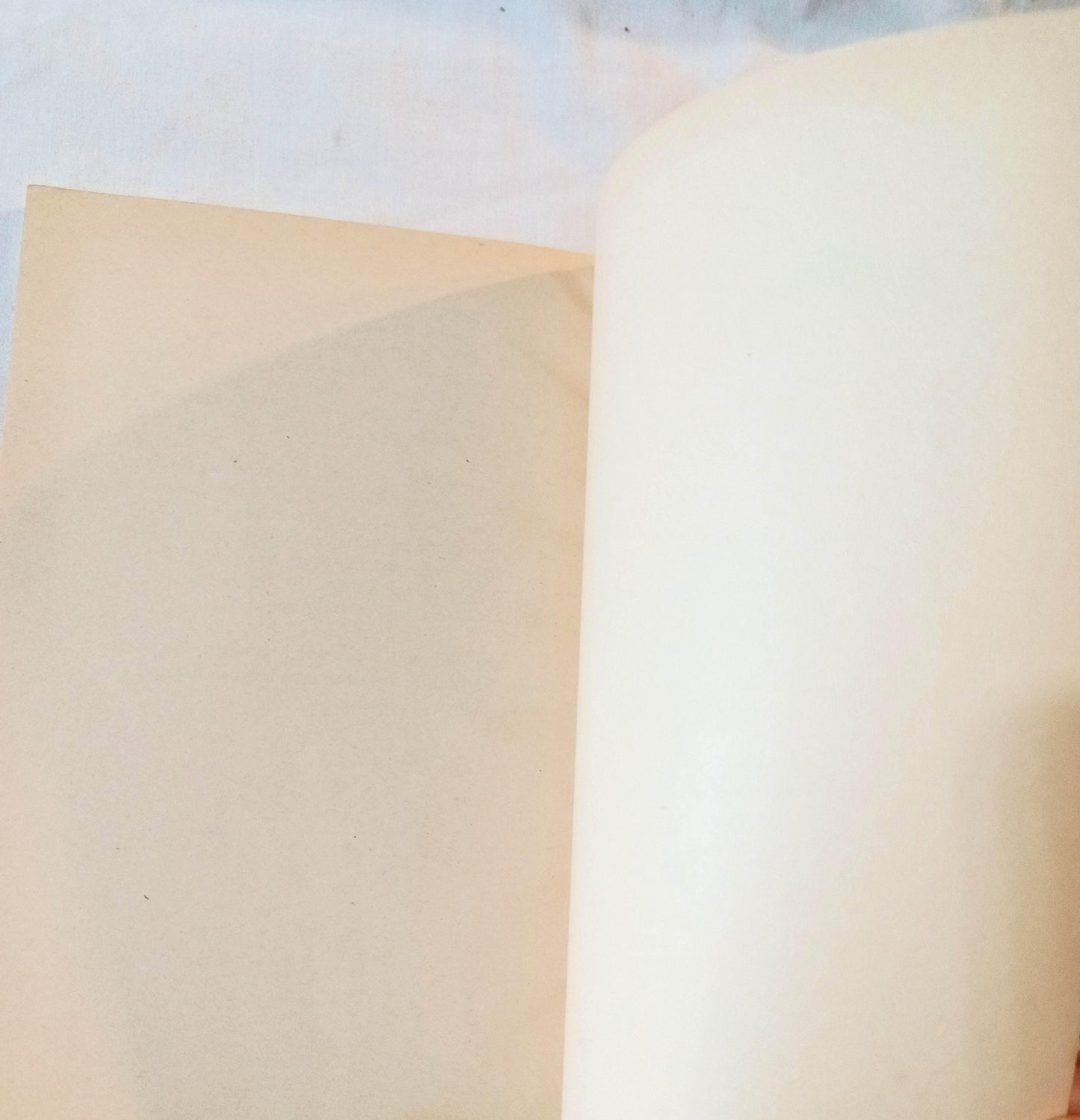 The Big Joke Game Scott Corbett Paperback First Printing 1973 - TulipStuff