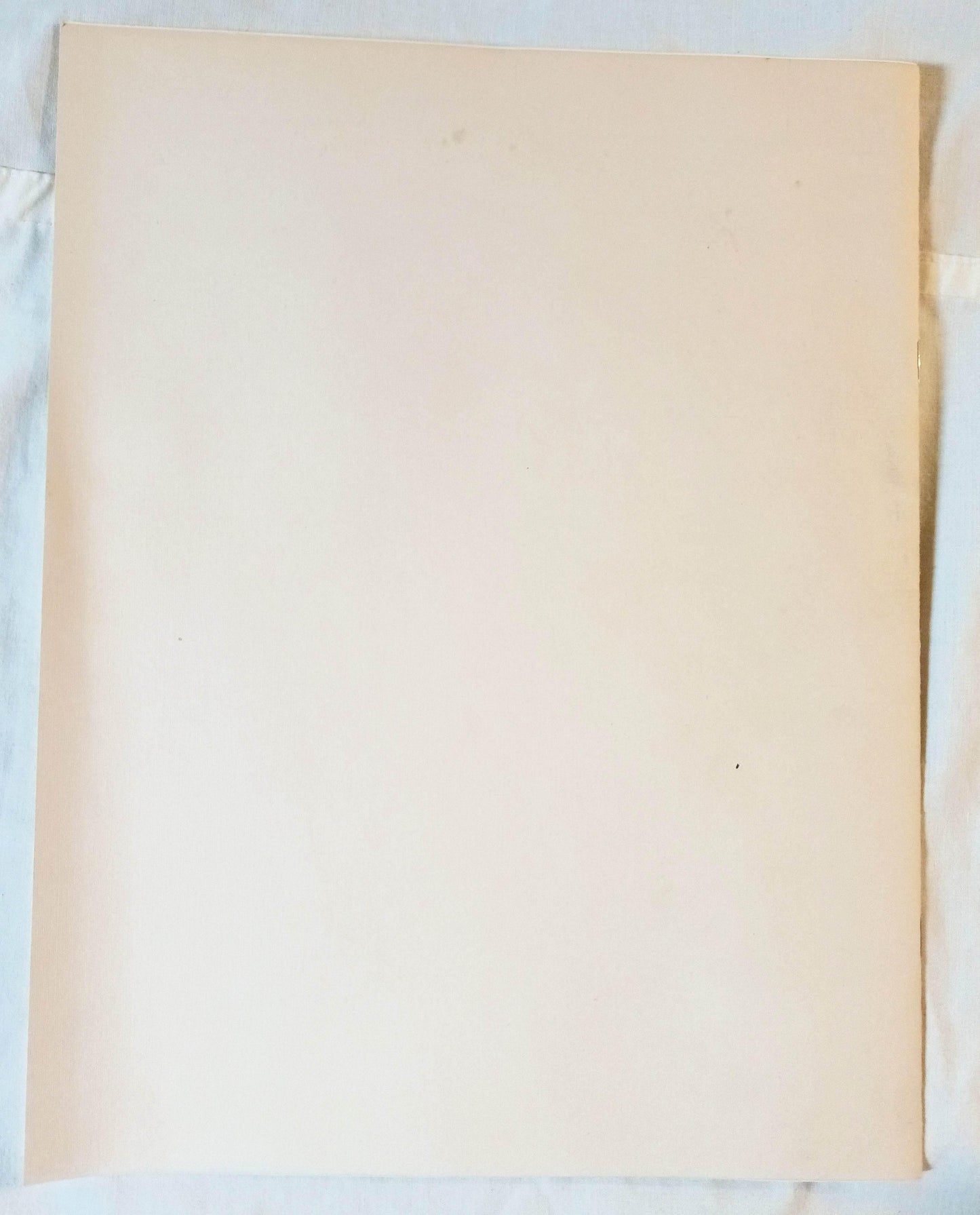 Boston Stock Exchange Incorporated 1983 Annual Report - TulipStuff