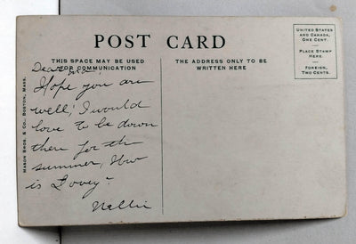 Boston Scene in Public Garden Massachusetts 1910's Postcard - TulipStuff