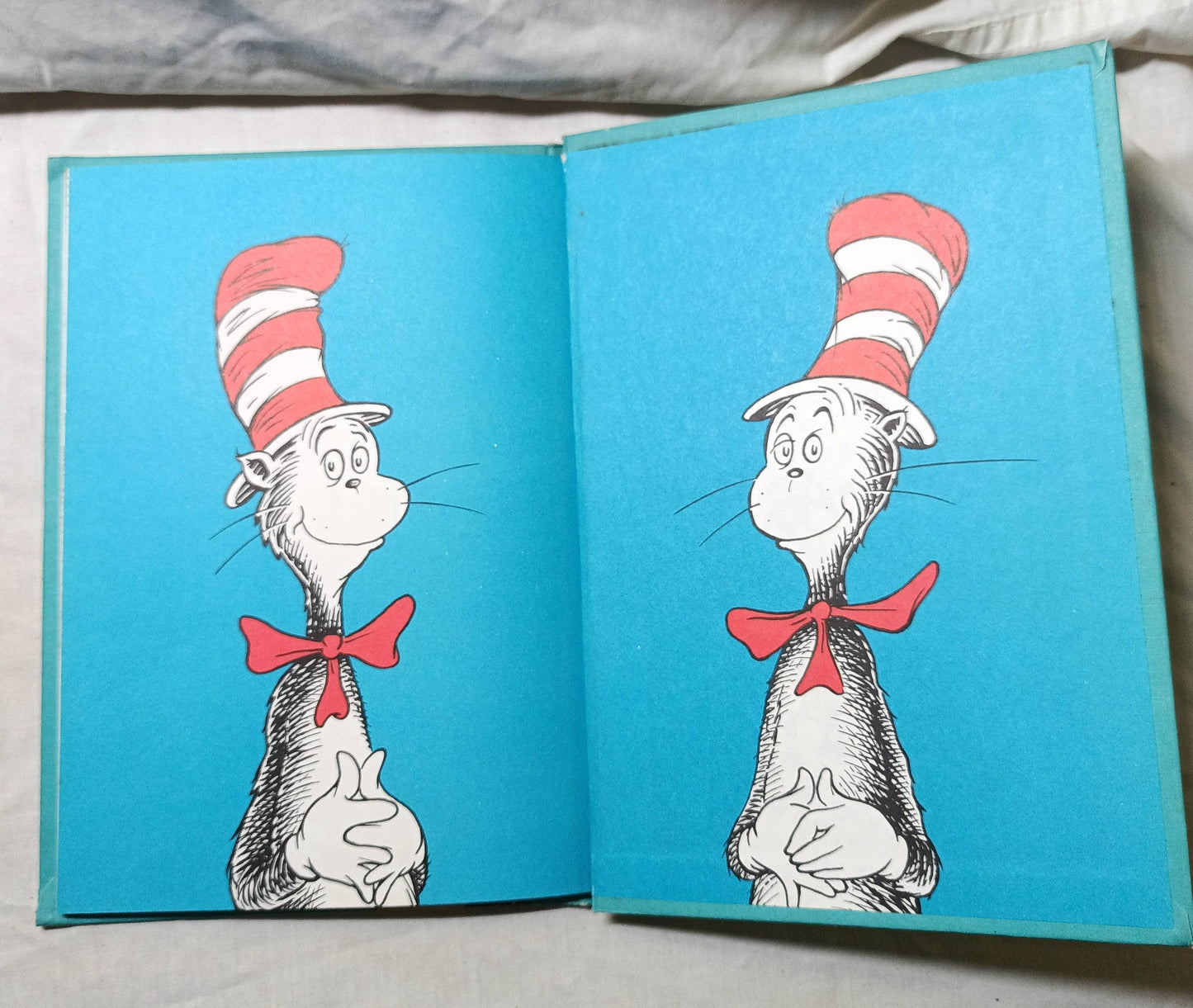 Dr Seuss The Cat In The Hat Book Club Edition Beginner Books 1957 - TulipStuff