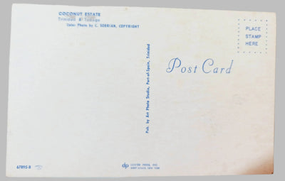 Coconut Estate Workers Horse Cart Trinidad And Tobago Postcard 1950's - TulipStuff