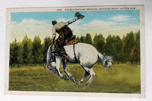Cowboy Riding A Bucking Broncho Anything Might Happen Postcard 1930's - TulipStuff
