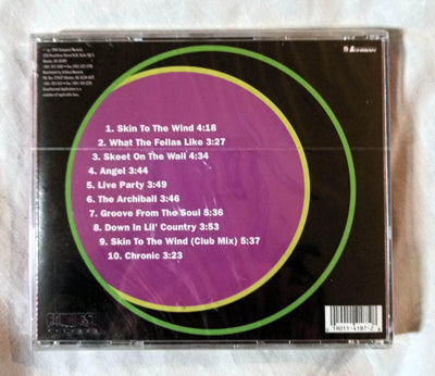 Darryl E & The Train Party On The Wall Bass Music Album CD 1994 - TulipStuff