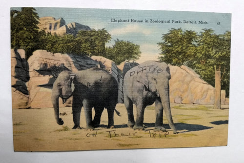 Elephant House In Zoological Park Detroit Michigan Linen Postcard 1940's - TulipStuff