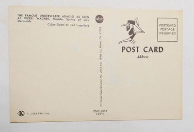 Weeki Wachee Florida Famous Underwater Adagio Mermaids Postcard 1983 - TulipStuff