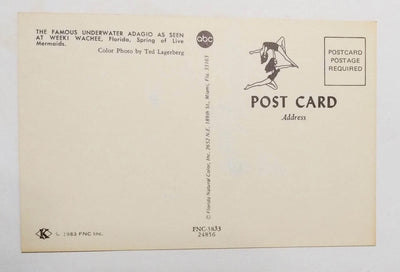 Weeki Wachee Florida Famous Underwater Adagio Mermaids Postcard 1983 - TulipStuff