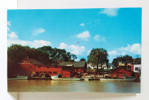 Fish Houses On The Vermilion River Ohio 1950's Postcard - TulipStuff