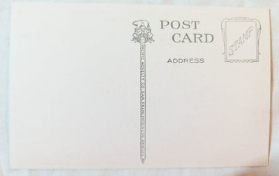 Giant Grape Vine San Gabriel Mission California Postcard 1920's - TulipStuff