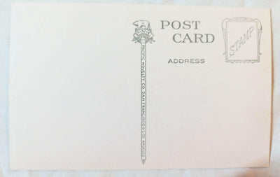 Giant Grape Vine San Gabriel Mission California Postcard 1920's - TulipStuff