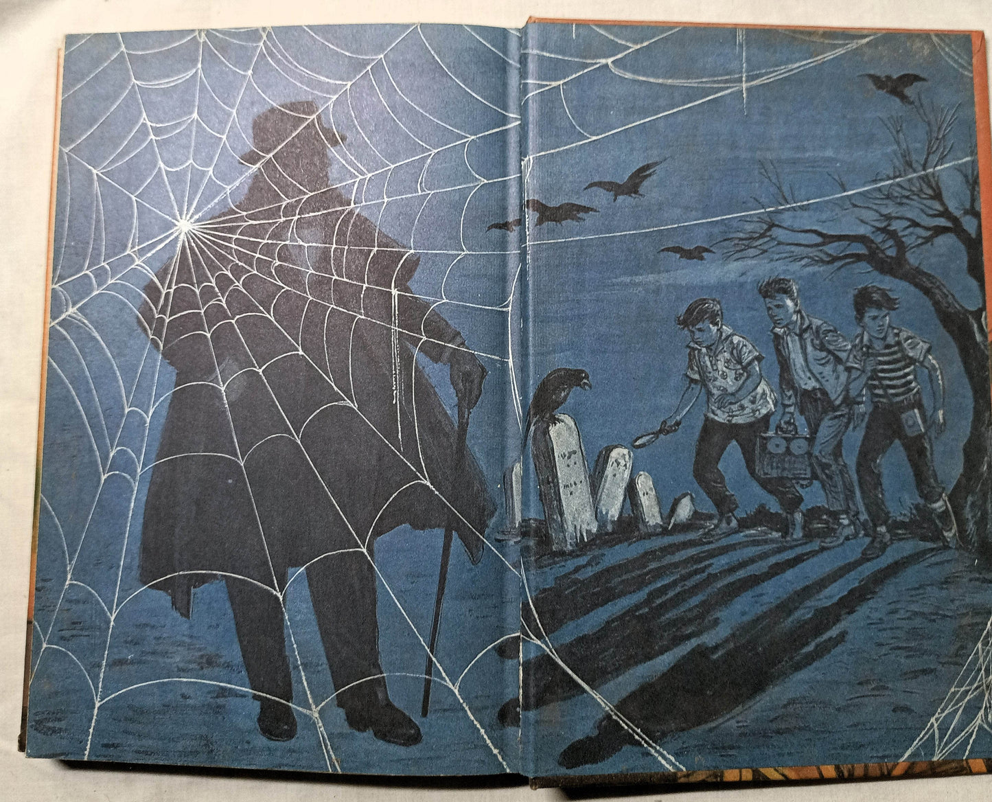 Alfred Hitchcock And The Three Investigators The Mystery Of The Talking Skull - TulipStuff