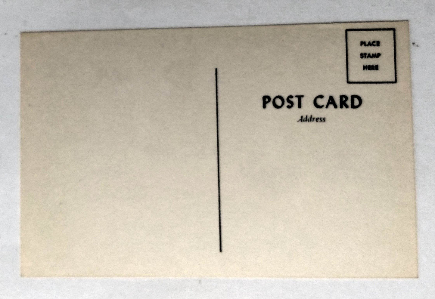 There's Always One At Every Bar Horse's Ass Humor Postcard 1960's - TulipStuff