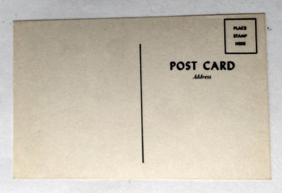 There's Always One At Every Bar Horse's Ass Humor Postcard 1960's - TulipStuff