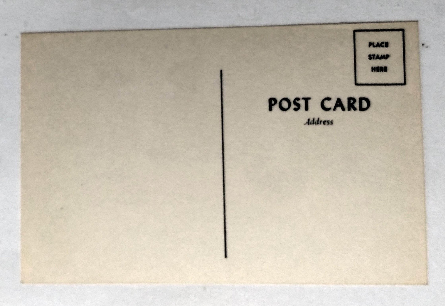 There's Always One At Every Bar Horse's Ass Humor Postcard 1960's - TulipStuff