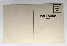 Load image into Gallery viewer, There's Always One At Every Bar Horse's Ass Humor Postcard 1960's - TulipStuff