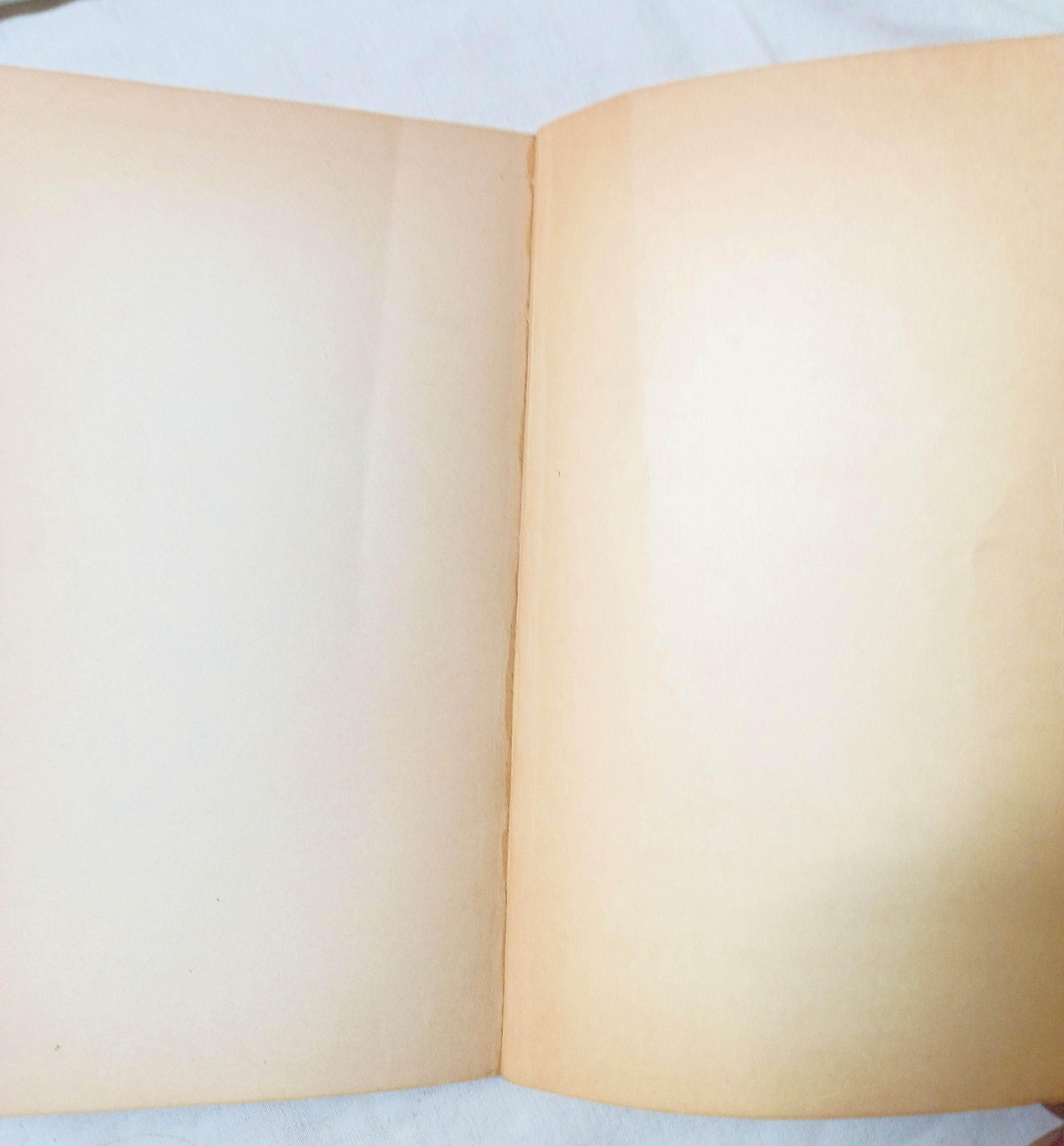 It's The Great Pumpkin Charlie Brown Peanuts First Printing 1968 - TulipStuff