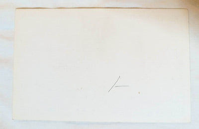 Joshua Palm On The Desert California Linen Postcard 1940's - TulipStuff