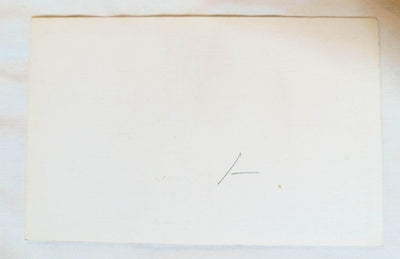 Joshua Palm On The Desert California Linen Postcard 1940's - TulipStuff