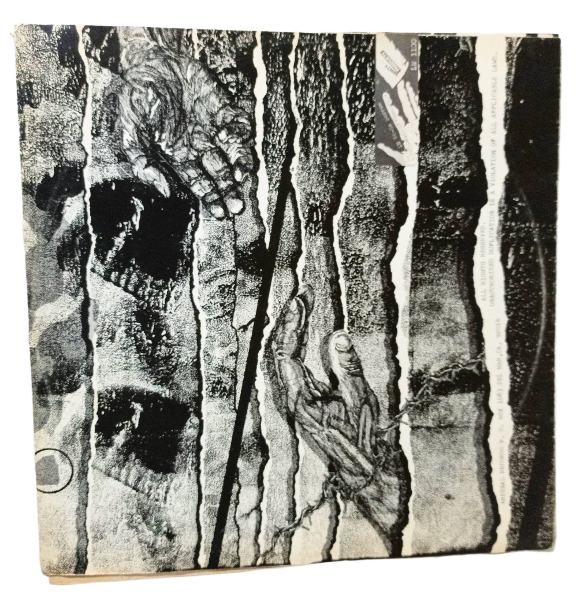 Legal Weapon Your Weapon LA Punk Album LP Vinyl Arsenal 1983 - TulipStuff