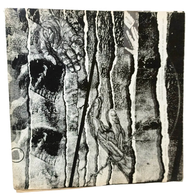 Legal Weapon Your Weapon LA Punk Album LP Vinyl Arsenal 1983 - TulipStuff