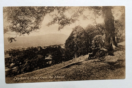 View From Leyburn Shawl North Yorkshire England Frith's 1917 - TulipStuff