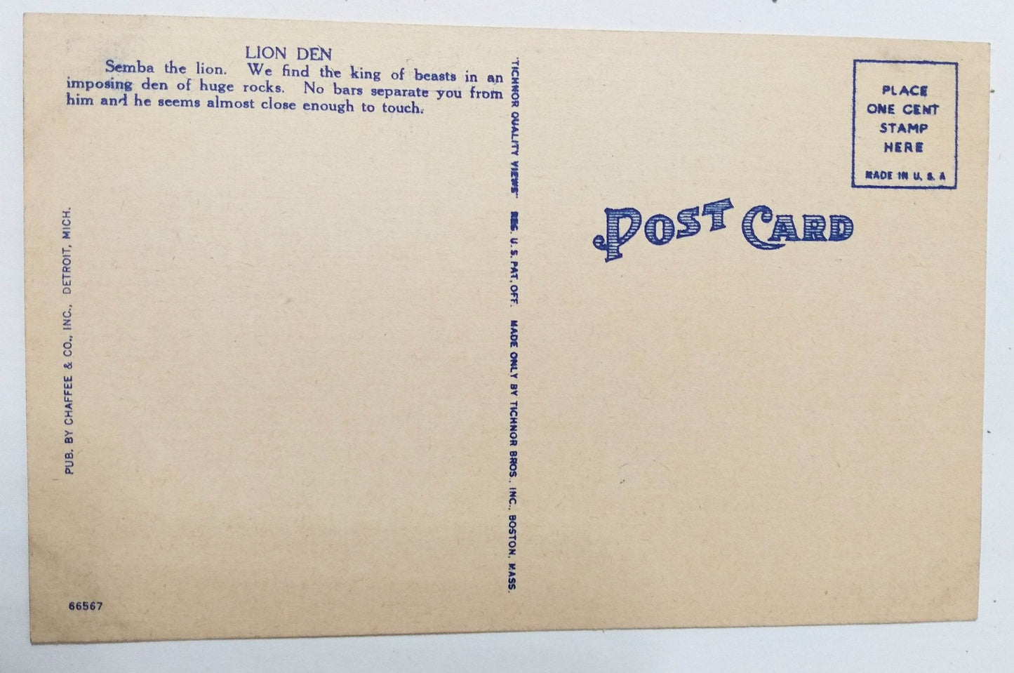 Lion Den In Zoological Park Detroit Michigan Linen Postcard 1940's - TulipStuff