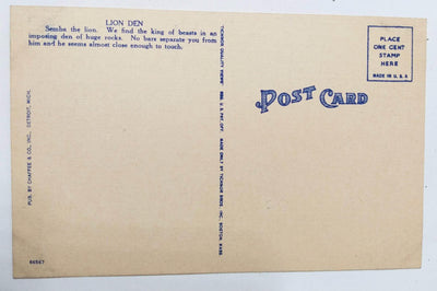 Lion Den In Zoological Park Detroit Michigan Linen Postcard 1940's - TulipStuff