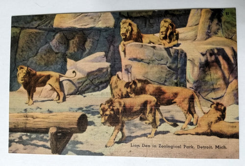 Lion Den In Zoological Park Detroit Michigan Linen Postcard 1940's - TulipStuff