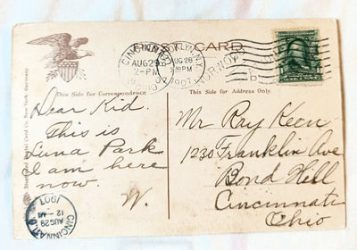 View Of Luna Park At Night Coney Island Brooklyn NY 1906 - TulipStuff