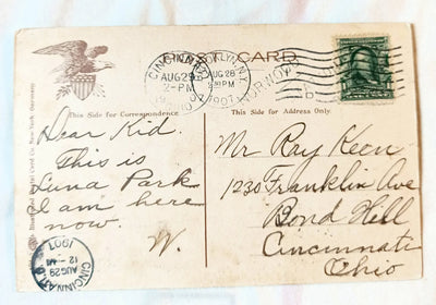 View Of Luna Park At Night Coney Island Brooklyn NY 1906 - TulipStuff