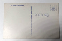 Load image into Gallery viewer, A Maine Lobsterman Seagulls 1960's Vintage Artistic Postcard - TulipStuff