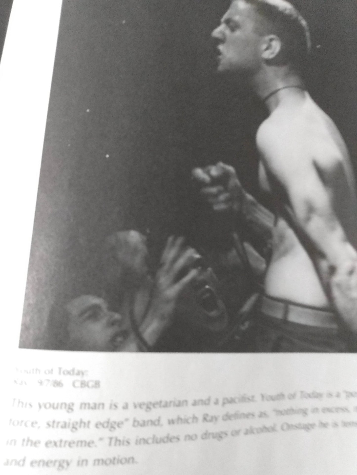 Making A Scene New York Hardcore In Photo Lyrics Commentary 1989 - TulipStuff