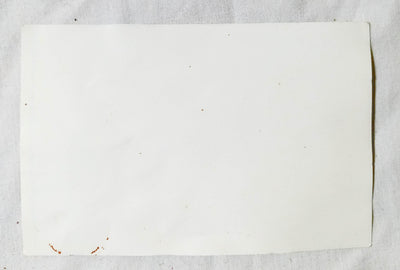 Moon Ska Records NYC New York USA Sticker Decal 1990's - TulipStuff