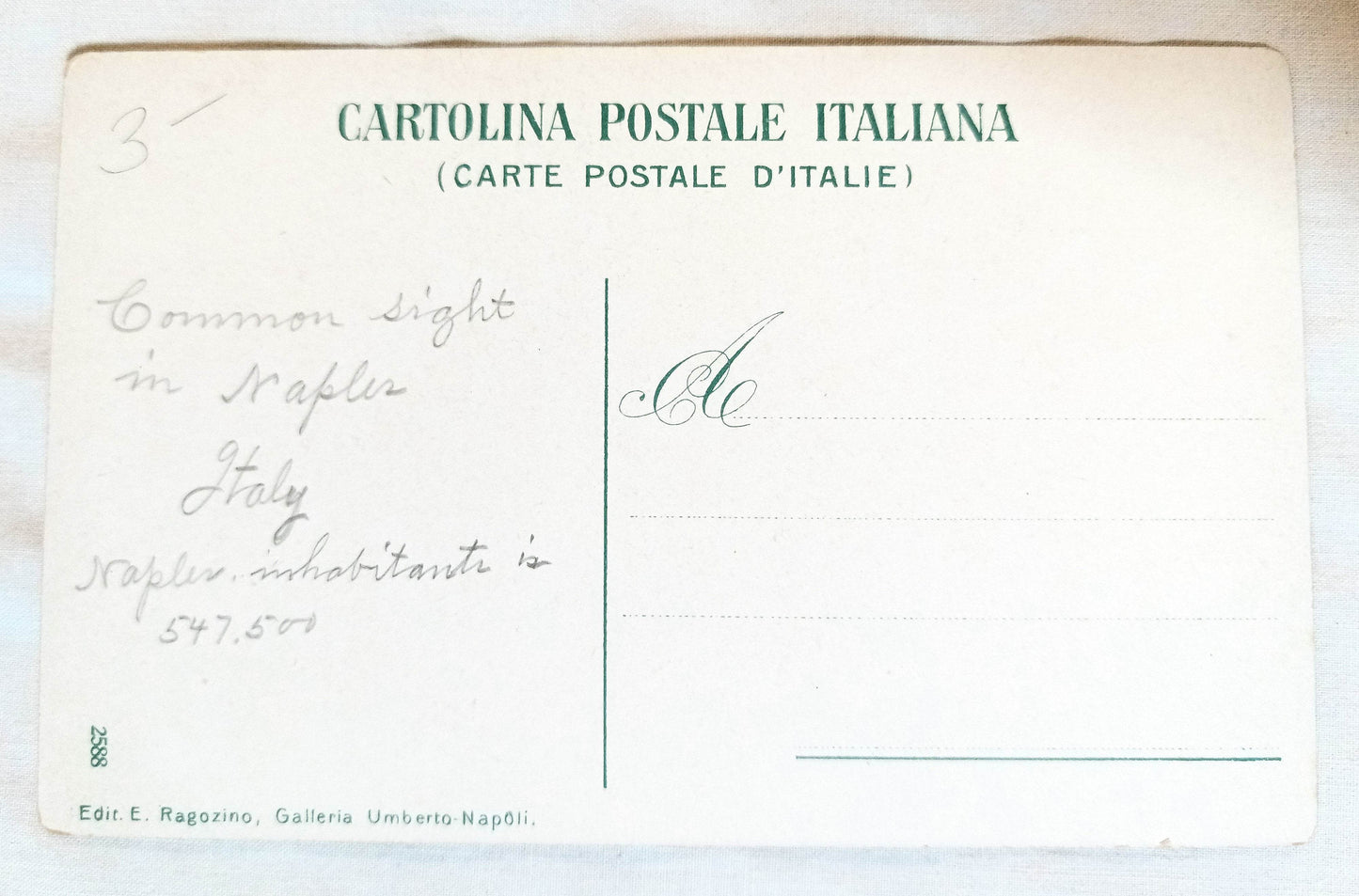 Napoli Il Carro Della Farina Naples Flour Wagon w/ Horses Oxen 1908 -TulipStuff