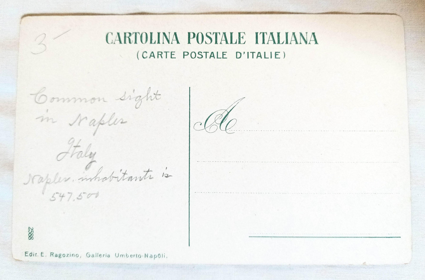 Napoli Il Carro Della Farina Naples Flour Wagon w/ Horses Oxen 1908 -TulipStuff