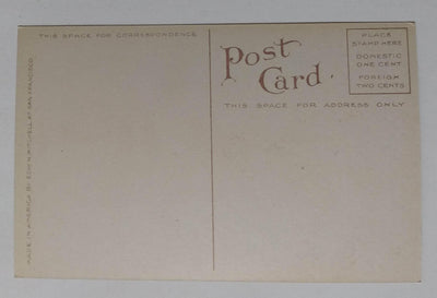 Native Son's Monument Market St San Francisco California Postcard 1910 - TulipStuff