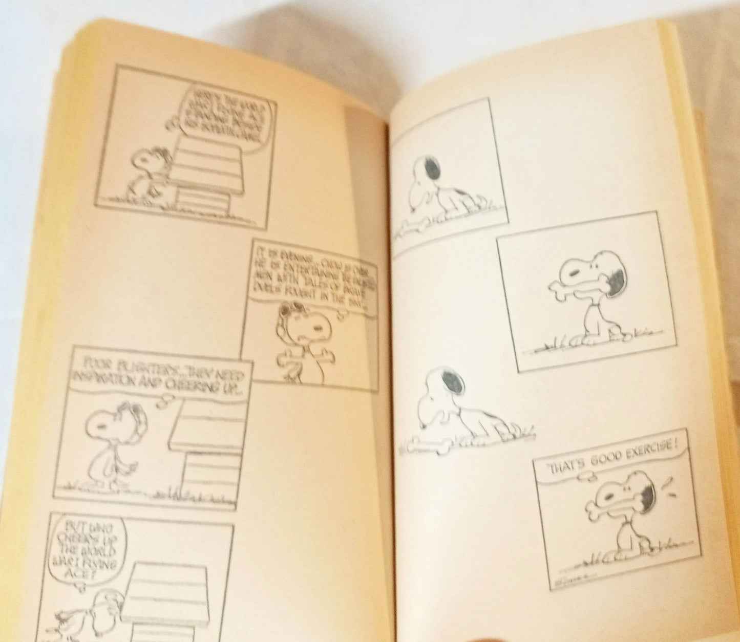 There's No One Like You Snoopy Peanuts Charles M Schulz Fawcett 1973 - TulipStuff