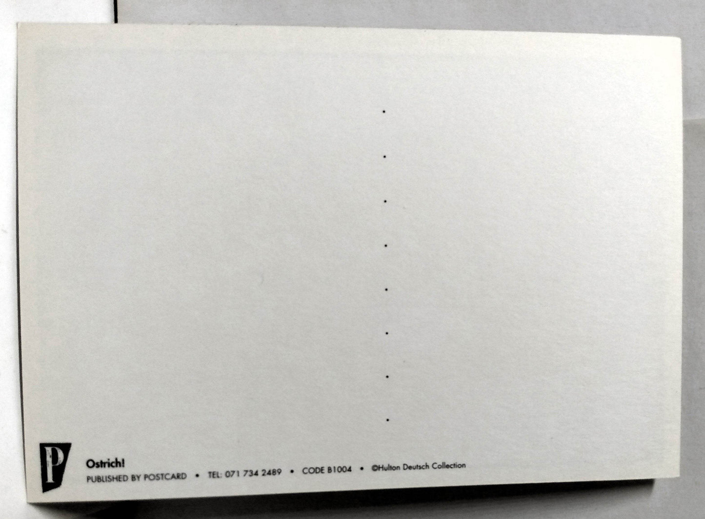 Ostrich With Big Mouth Postcard UK Early 1990's - TulipStuff