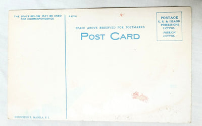 Philippines Lachon Roasting Pig Postcard 1920 Denniston's Manila - TulipStuff