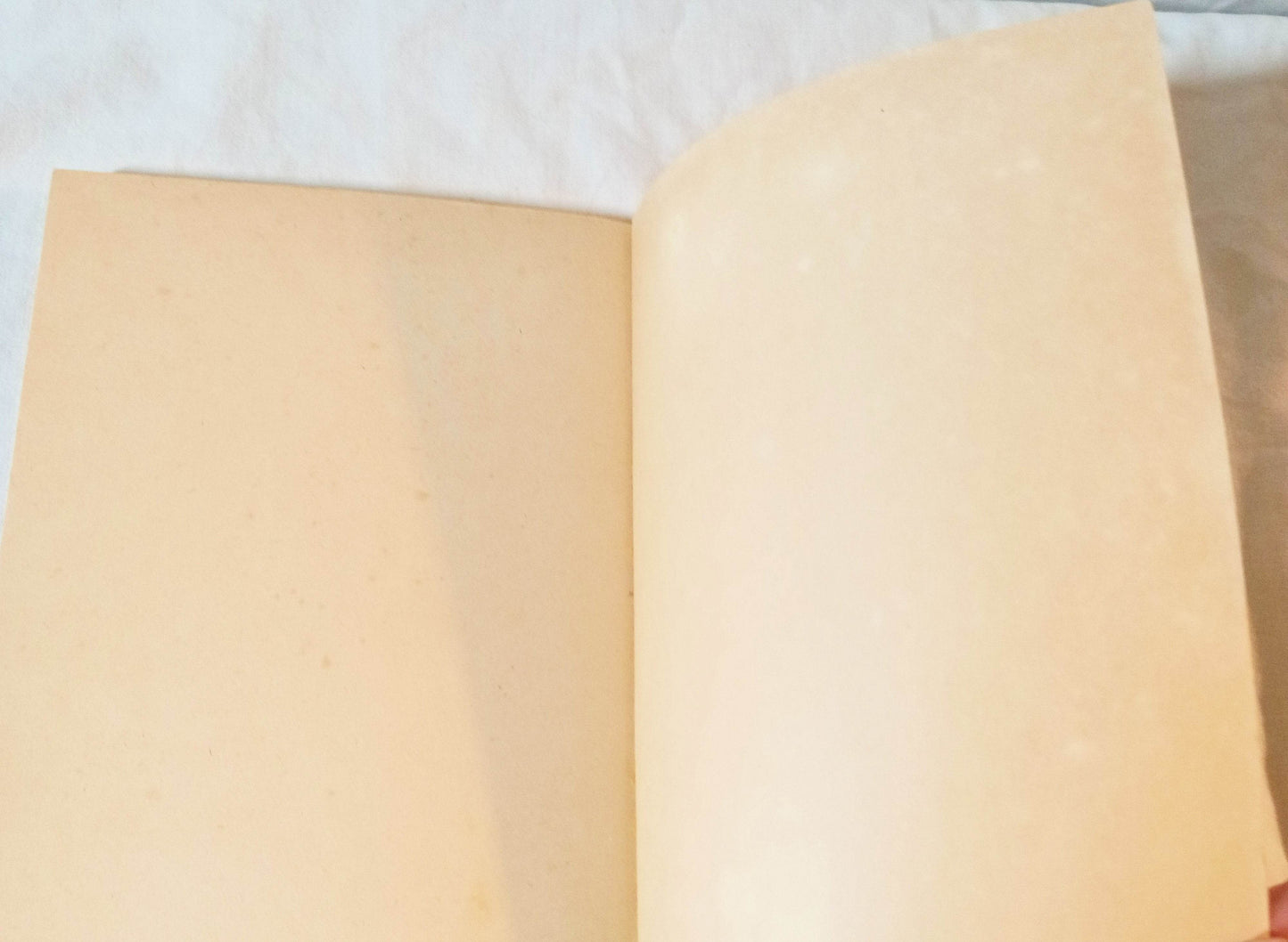 The Pooh Cook Book Milne/Ellison Paperback Dell Yearling 1976 - TulipStuff