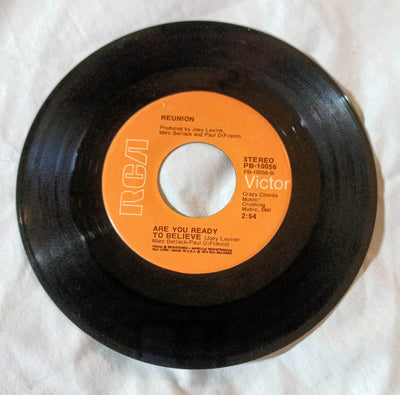 Reunion Life Is A Rock (But The Radio Rolled Me) 7" Vinyl 45 RPM 1974 - TulipStuff